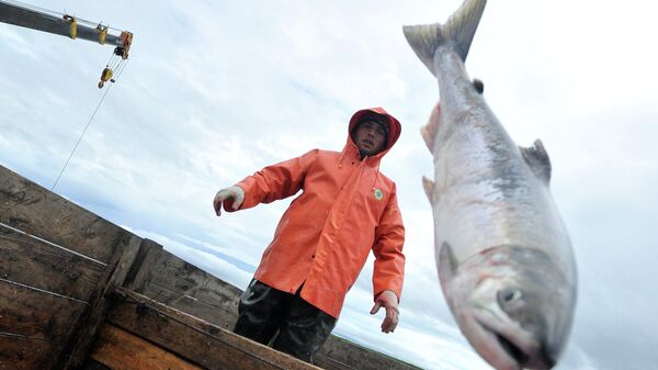 Pesca del salmón - Sputnik Mundo