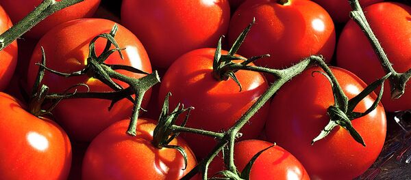 Tomates - Sputnik Mundo