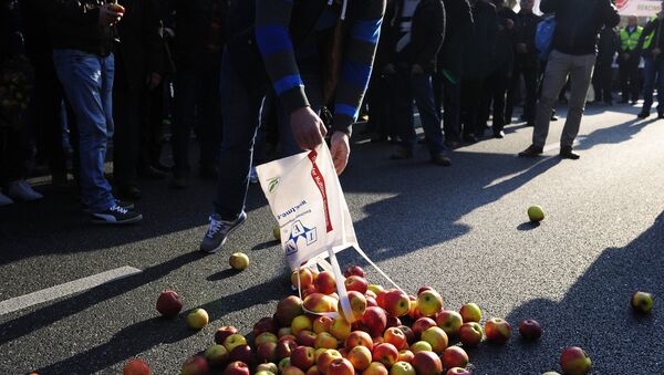 Protesta de los granjeros polacos contra el embargo alimentario ruso - Sputnik Mundo