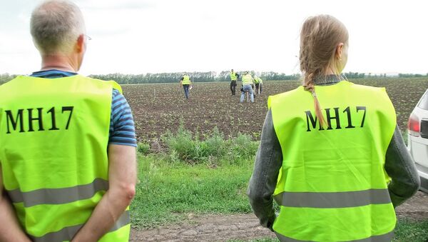 Expertos internacionales en el lugar del siniestro del Boeing MH17 - Sputnik Mundo