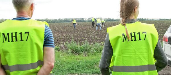 Expertos internacionales en el lugar del siniestro del Boeing MH17 - Sputnik Mundo