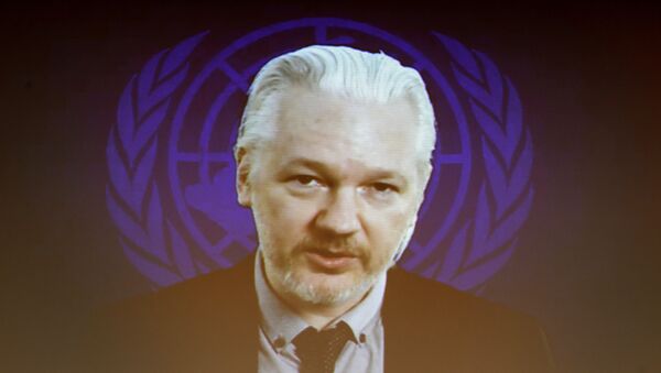 Julian Assange, fundador de Wikileaks - Sputnik Mundo