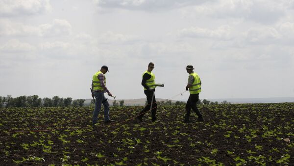 Lugar del siniestro del MH17 en el este de Ucrania - Sputnik Mundo