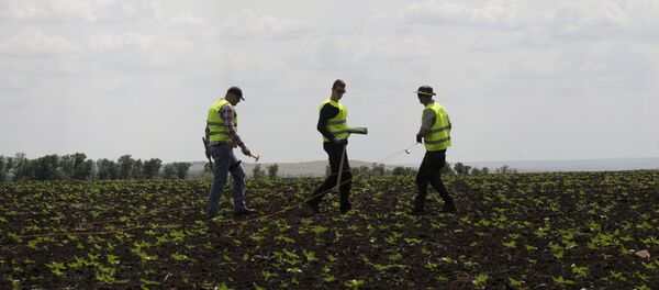 Lugar del siniestro del MH17 en el este de Ucrania - Sputnik Mundo