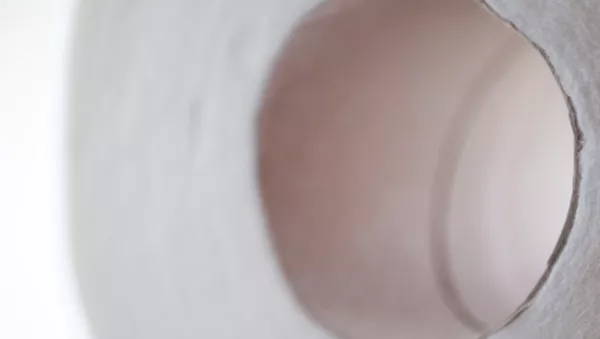 Papel higiénico - Sputnik Mundo