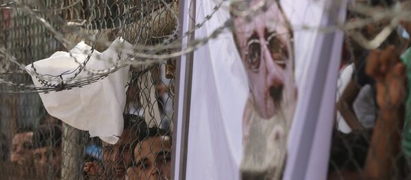 Jader Adnan - Sputnik Mundo