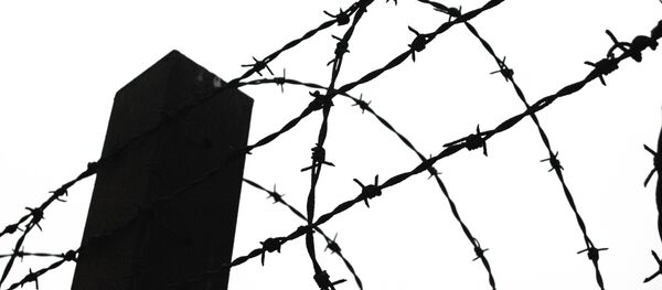 Absuelven a un chino tras 20 años en prisión - Sputnik Mundo