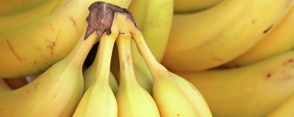 Plátanos - Sputnik Mundo