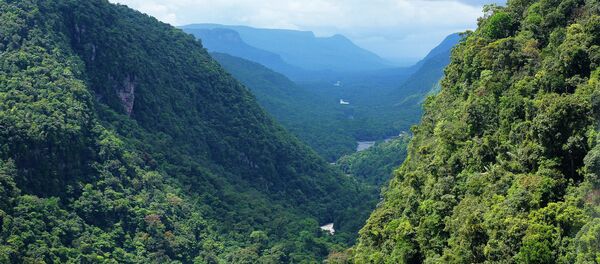 Guyana Guyana - Sputnik Mundo