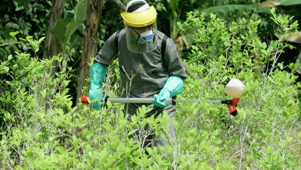 Policía antidrogas en una planta de coca - Sputnik Mundo