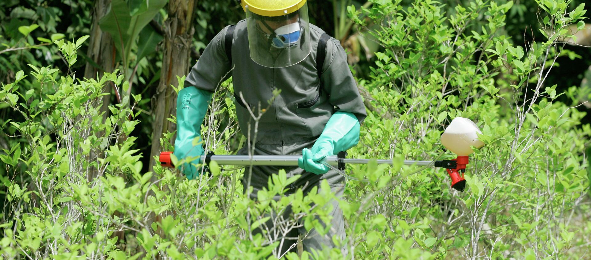 A counter-narcotics police officer sprays herbicide over a coca plant during a campaign to eradicate coca crops in La Espriella, southern Colombia. A counter-narcotics police officer sprays herbicide over a coca plant during a campaign to eradicate coca crops in La Espriella, southern Colombia. - Sputnik Mundo, 1920, 16.09.2020