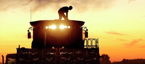 Un agricultor de maíz, en Pleasant Plains, Illinois - Sputnik Mundo
