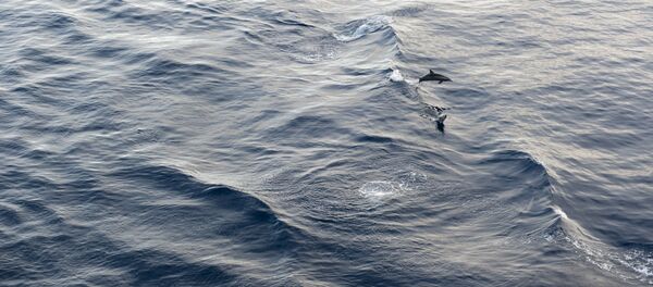 Mar del Sur de China - Sputnik Mundo