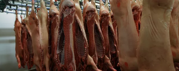 Carne de cerdo Carne de cerdo - Sputnik Mundo