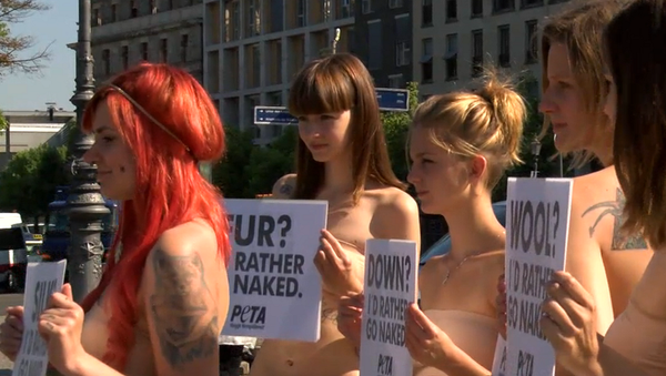 Activistas de PETA se desnudan en Berlín - Sputnik Mundo