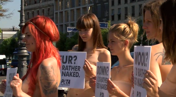 Activistas de PETA se desnudan en Berlín - Sputnik Mundo