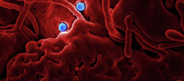 Coronavirus Particles (imagen referencial) - Sputnik Mundo