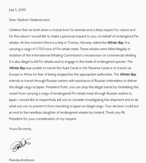 Carta abierta al presidente ruso, Vladímir Putin Carta abierta al presidente ruso, Vladímir Putin - Sputnik Mundo