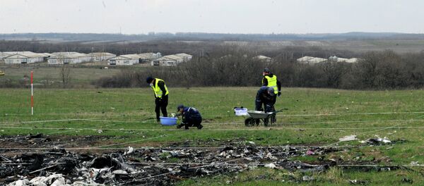 Expertos internacionales en la zona del siniestro del Boeing - Sputnik Mundo