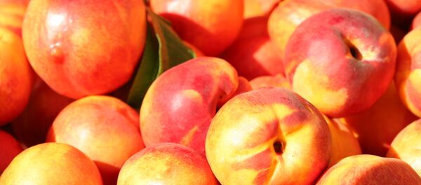 Nectarinas - Sputnik Mundo