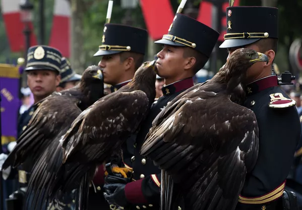 Desfile militar por el Día de la Toma de la Bastilla Desfile militar por el Día de la Toma de la Bastilla - Sputnik Mundo