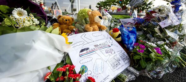 Rusia se esforzará para que se sepa la verdad sobre la caída del MH17 Rusia se esforzará para que se sepa la verdad sobre la caída del MH17 - Sputnik Mundo