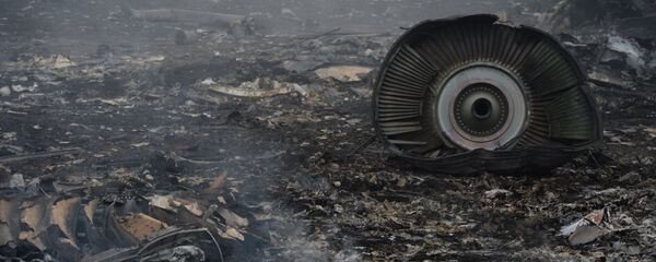 El lugar del siniestro del MH17 en Ucrania - Sputnik Mundo