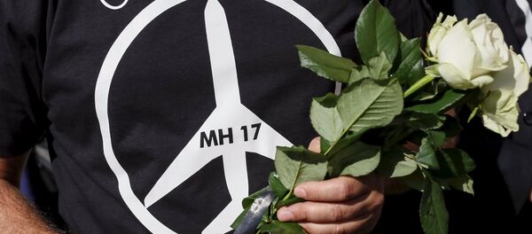 La ICAO creó base de datos sobre las zonas de conflicto por el MH17 - Sputnik Mundo