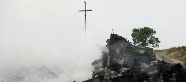 Lugar de la catástrofe del vuelo de MH17 en Ucrania - Sputnik Mundo