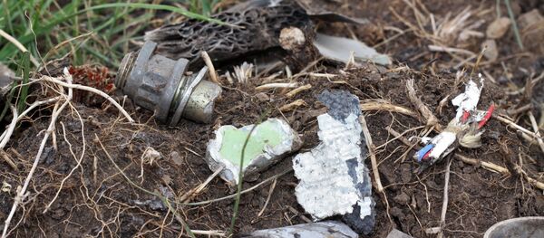 Lugar del siniestro del MH17 en el este de Ucrania - Sputnik Mundo