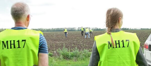 Lugar del siniestro del MH17 en el este de Ucrania - Sputnik Mundo