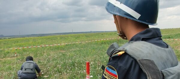 El lugar del siniestro del Boeing MH17 en el este de Ucrania - Sputnik Mundo