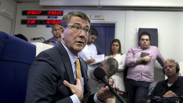 Ashton Carter, secretario de Defensa de EEUU - Sputnik Mundo