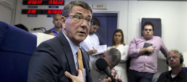 Ashton Carter, secretario de Defensa de EEUU - Sputnik Mundo