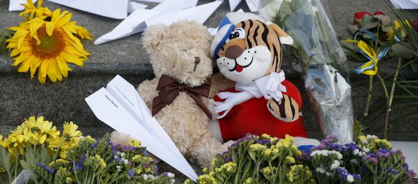 Catástrofe del Boeing de Malaysia Airlines en el este de Ucrania - Sputnik Mundo