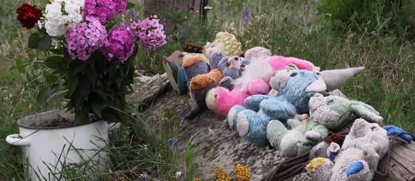 Rusia pide que la ONU participe en la investigación de la caída del Boeing - Sputnik Mundo