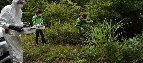This photo taken on July 17, 2015 shows Greenpeace researchers (from L) Jan Vande Putte, Kazue Suzuki and Shaun Burnie moving towards the Ganbe Dam lakeside in the village of Iitate in Fukushima prefecture - Sputnik Mundo