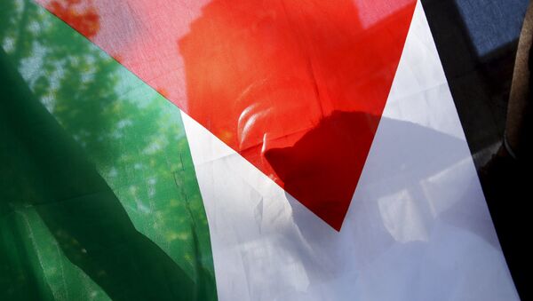 A Palestinian refugee holds the flag of Palestine during a protest in Madrid, Spain, July 21, 2015 - Sputnik Mundo