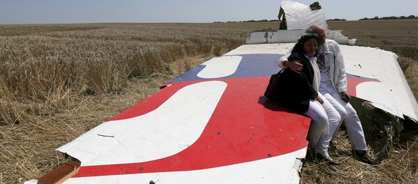 Lugar de la catástrofe del vuelo de MH17 en Ucrania - Sputnik Mundo