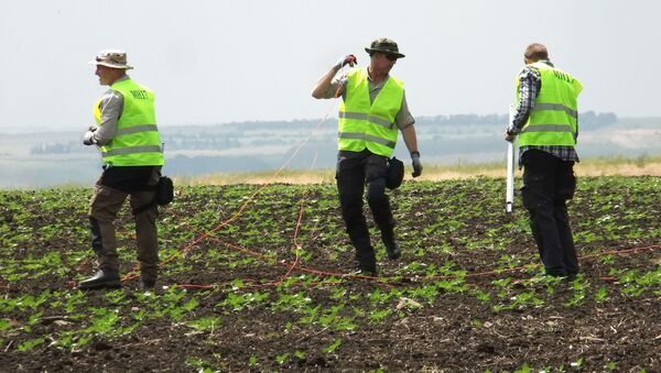 Lugar del siniestro del MH17 en el este de Ucrania - Sputnik Mundo