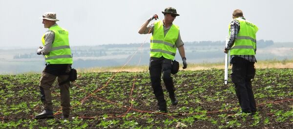 Lugar del siniestro del MH17 en el este de Ucrania - Sputnik Mundo