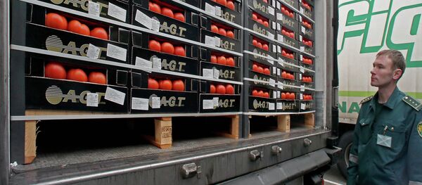 Un agente aduanal inspecciona los alimentos importados - Sputnik Mundo