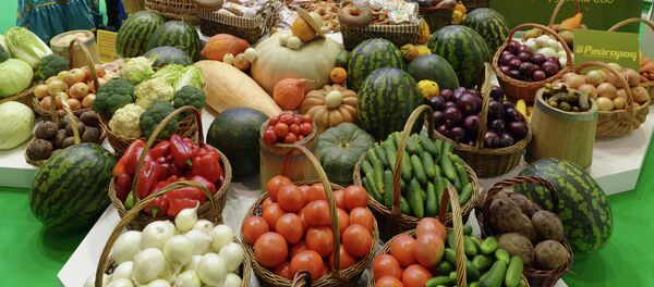 Exhibición agraria-industrial de los productos rusos - Sputnik Mundo