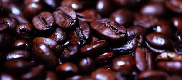 Granos de café tostado Granos de café tostado - Sputnik Mundo