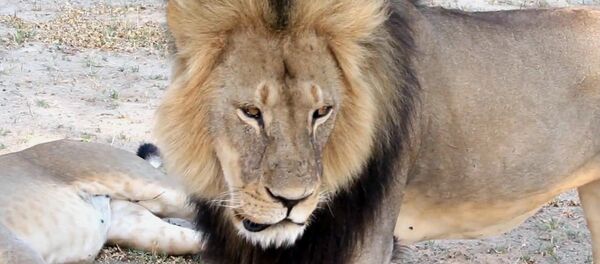 León Cecil - Sputnik Mundo