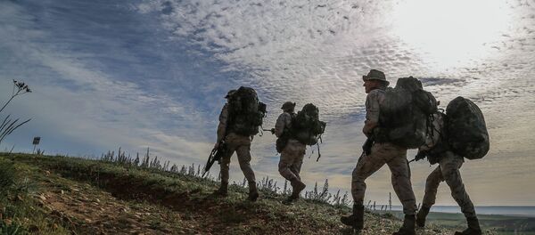 Operación Skyfall-España Operación Skyfall-España - Sputnik Mundo