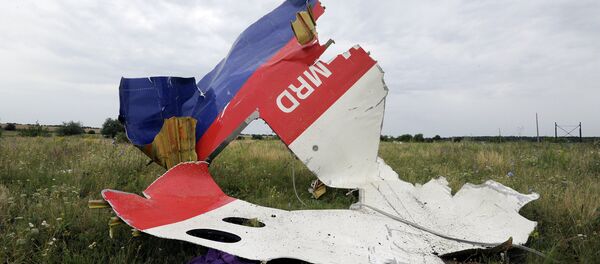 Lugar del accidente del vuelo MH17 de Malaysia Airlines - Sputnik Mundo