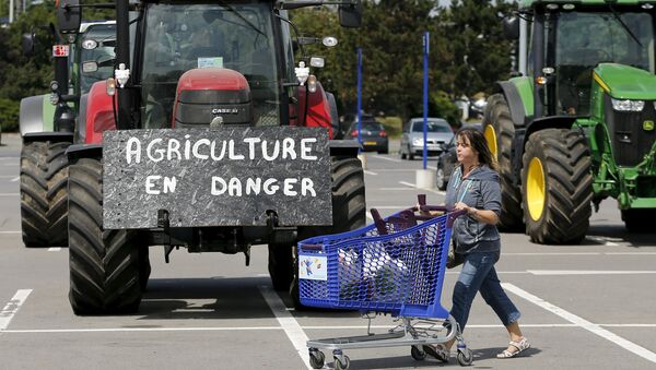 Huelga granjeros de la UE - Sputnik Mundo