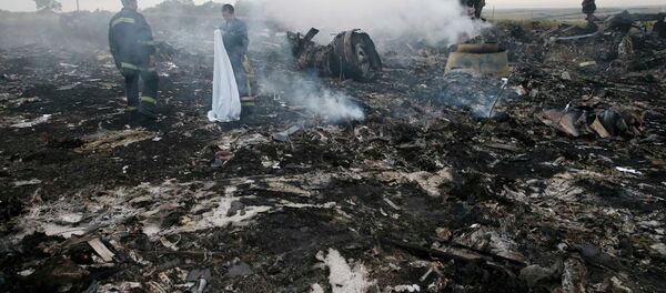 Lugar del siniestro del MH17 (archivo) - Sputnik Mundo