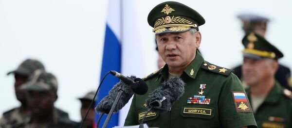 Serguéi Shoigú, ministro de Defensa de Rusia - Sputnik Mundo